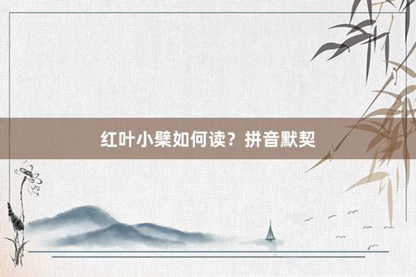 红叶小檗如何读？拼音默契