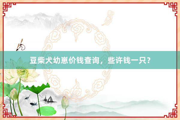 豆柴犬幼崽价钱查询，些许钱一只？